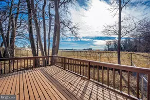 5209 Cochran Rd, Beltsville, MD 20705 - Photo 28