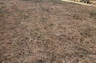 4541 Akron St, Temple Hills, MD 20748 - Photo 16