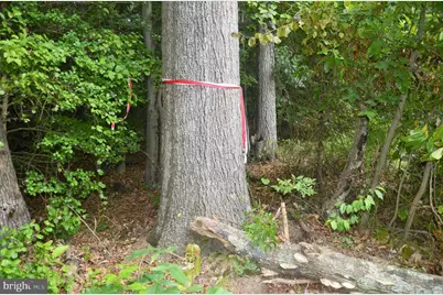 16106 Bealle Hill Road, Waldorf, MD 20601 - Photo 18