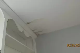 4501 Beechwood Rd, College Park, MD 20740 - Photo 16