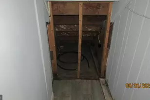 4501 Beechwood Rd, College Park, MD 20740 - Photo 30