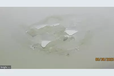 4501 Beechwood Road, College Park, MD 20740 - Photo 46