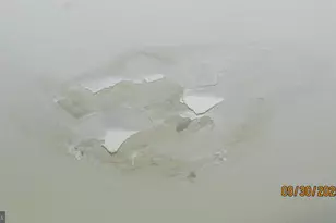 4501 Beechwood Rd, College Park, MD 20740 - Photo 46