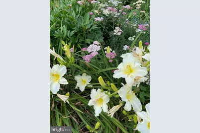 115 Lakeside Drive, Greenbelt, MD 20770 - Photo 78