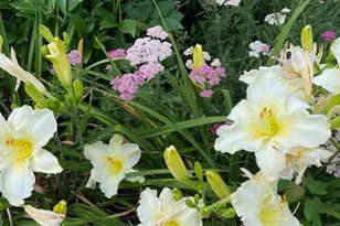 115 Lakeside Dr, Greenbelt, MD 20770 - Photo 78