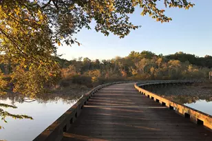 8901 Brookridge, Upper Marlboro, MD 20772 - Photo 124