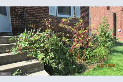 8504 49th Avenue, College Park, MD 20740 - Photo 36