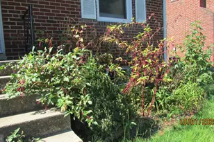 8504 49th Ave, College Park, MD 20740 - Photo 36