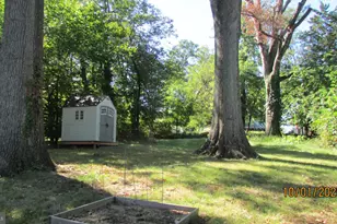 8504 49th Ave, College Park, MD 20740 - Photo 6