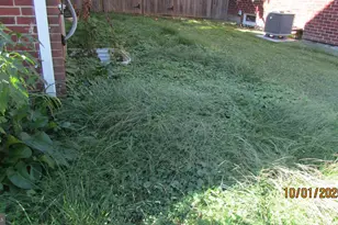 8504 49th Ave, College Park, MD 20740 - Photo 38