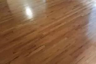 7516 Hawthorne, Landover, MD 20785 - Photo 1