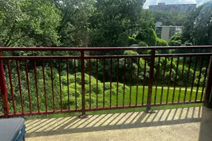 9205 New Hampshire Ave, Silver Spring, MD 20903 - Photo 8