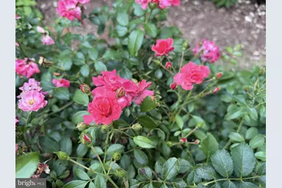 8 Southway, Greenbelt, MD 20770 - Photo 36