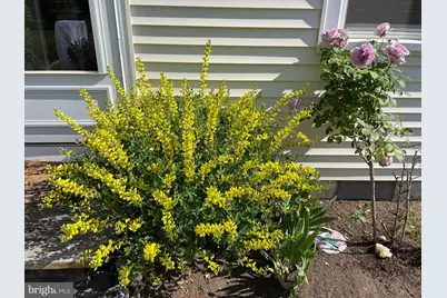 8 Southway, Greenbelt, MD 20770 - Photo 38