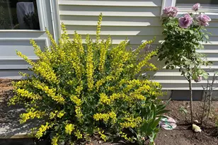 8 Southway, Greenbelt, MD 20770 - Photo 38