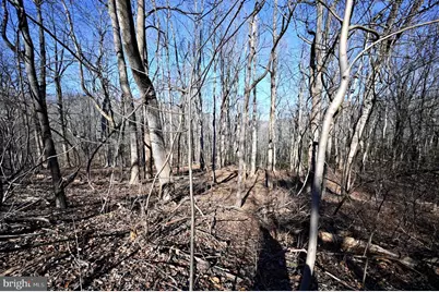 Richard Allen Street, Aquasco, MD 20608 - Photo 14