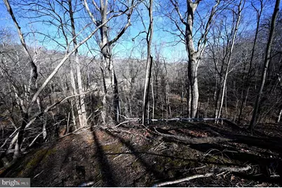 Richard Allen Street, Aquasco, MD 20608 - Photo 12