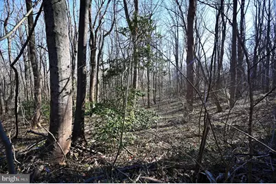 Richard Allen Street, Aquasco, MD 20608 - Photo 16