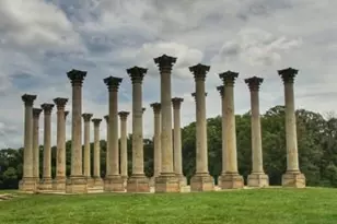 4933 38th Ave, Hyattsville, MD 20782 - Photo 32