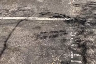 14401 Hampshire Hall Ct, Upper Marlboro, MD 20772 - Photo 28