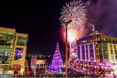 155 Potomac Passage #315, Oxon Hill, MD 20745 - Photo 50