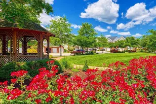 13218 Winding Trail Rd, Laurel, MD 20707 - Photo 6