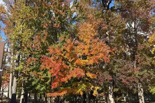 13502 Leesburg Pl, Upper Marlboro, MD 20774 - Photo 34