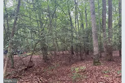 16661 Bald Eagle School Road, Brandywine, MD 20613 - Photo 4