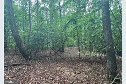 16661 Bald Eagle School Road, Brandywine, MD 20613 - Photo 2