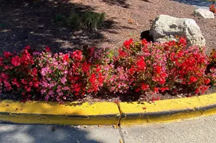 6924 Hanover Pkwy, Greenbelt, MD 20770 - Photo 36