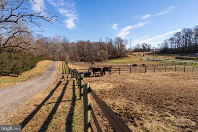19209 Croom Road, Brandywine, MD 20613 - Photo 72