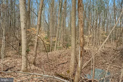 6106 Wesson Drive, Suitland, MD 20746 - Photo 6