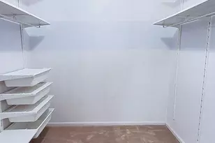 4703 Cedar Ct, Beltsville, MD 20705 - Photo 14