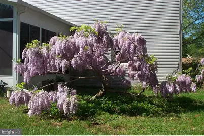 12414 Starlight Lane, Bowie, MD 20715 - Photo 14