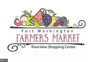 1142 Windemere Ct, Fort Washington, MD 20744 - Photo 16