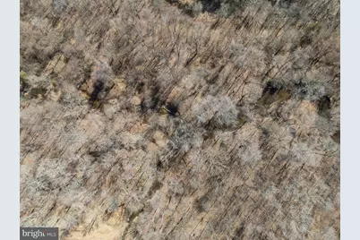 16420 Cedar Lawn Drive, Waldorf, MD 20601 - Photo 6