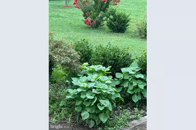 7800 Mystic River Terrace, Glenn Dale, MD 20769 - Photo 102