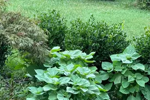 7800 Mystic River Terrace, Glenn Dale, MD 20769 - Photo 102