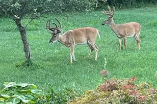 7800 Mystic River Terrace, Glenn Dale, MD 20769 - Photo 88