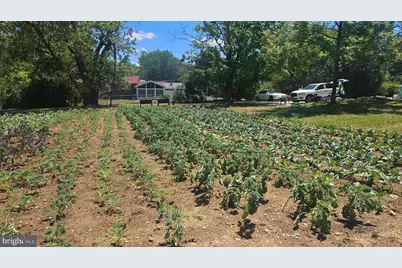 5908 Auth Road, Suitland, MD 20746 - Photo 14