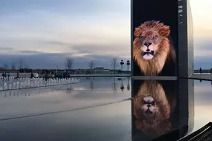 145 Riverhaven Dr, Oxon Hill, MD 20745 - Photo 40