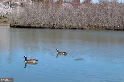 15616 Everglade Lane #103, Bowie, MD 20716 - Photo 22