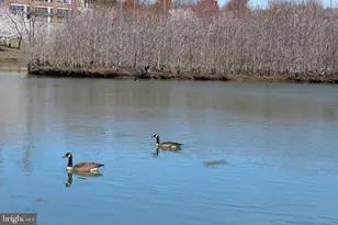 15616 Everglade Ln, Bowie, MD 20716 - Photo 22