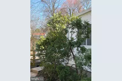 3307 Rutgers Street, Hyattsville, MD 20783 - Photo 2