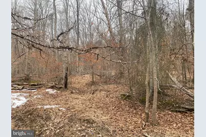 14313 Jericho Park Road, Bowie, MD 20715 - Photo 2