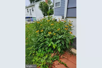 5713 Pontiac, Berwyn Heights, MD 20740 - Photo 12