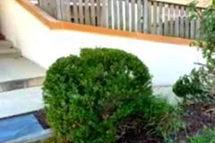 10133 Prince Pl, Upper Marlboro, MD 20774 - Photo 14