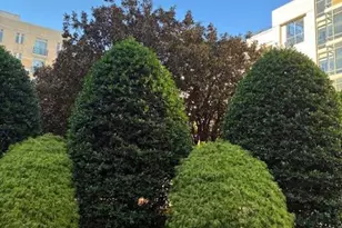 155 Potomac Passage, Oxon Hill, MD 20745 - Photo 20