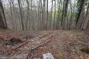 508 Holly Rd, Fort Washington, MD 20744 - Photo 38