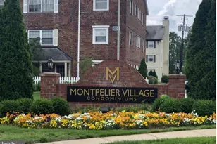 10303 45th Pl, Beltsville, MD 20705 - Photo 22